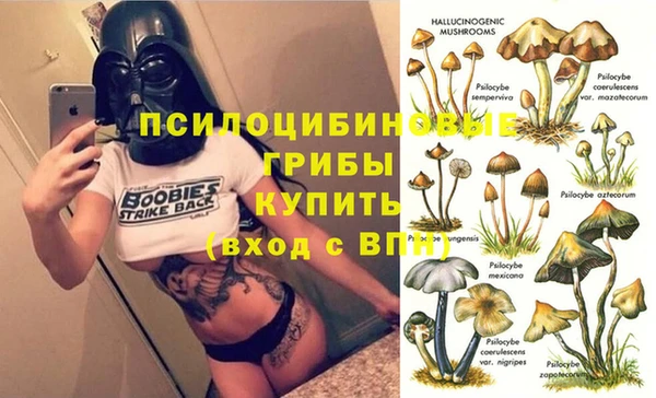 дурь Алексин