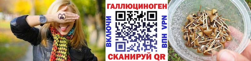 Псилоцибиновые грибы мицелий  Кремёнки 